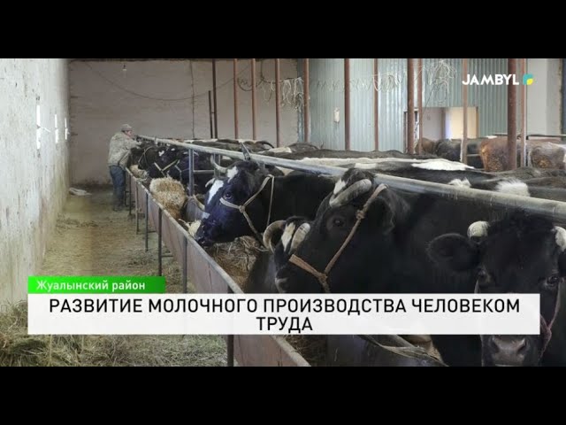 ⁣Развитие молочного производства человеком труда