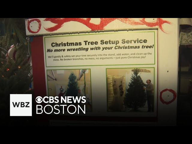 ⁣Boston's "Christmas Tree for Me" offers holiday delivery and setup