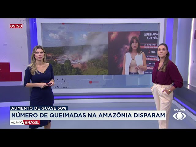 ⁣Número de queimadas na Amazônia é o maior em quase 2 décadas