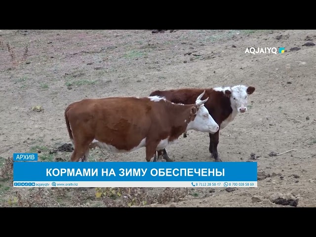 ⁣КОРМАМИ НА ЗИМУ ОБЕСПЕЧЕНЫ