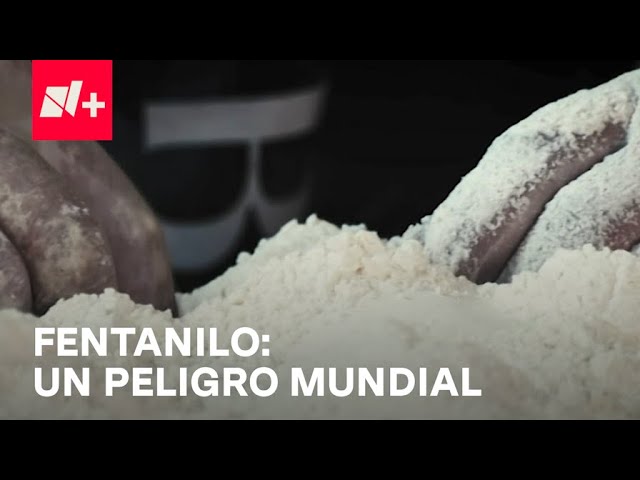 ⁣La crisis de fentanilo en el mundo: Efectos que provoca - Despierta