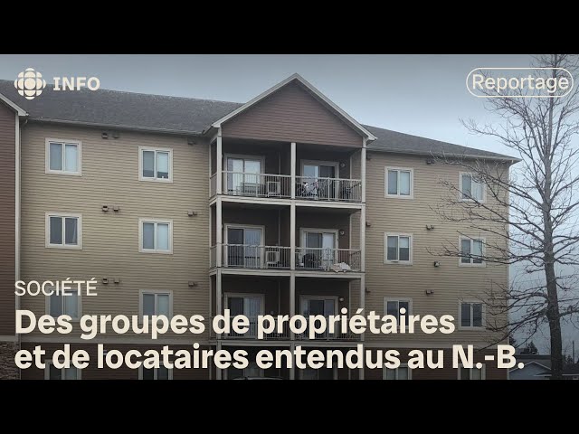 ⁣Propriétaires et locataires se font entendre sur le plafond des loyers au Nouveau-Brunswick