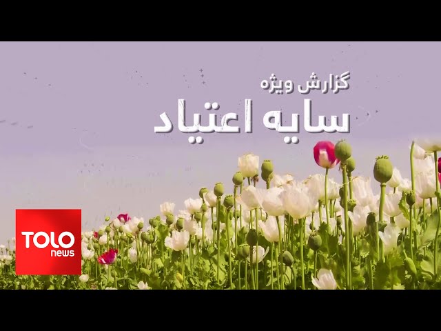 ⁣گزارش ویژه سایه اعتیاد