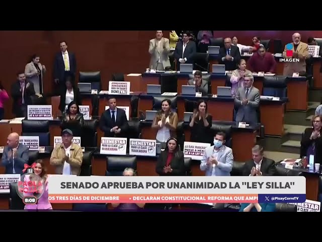 ⁣El Senado aprueba por unanimidad la “Ley Silla” | DPC con Paola Rojas