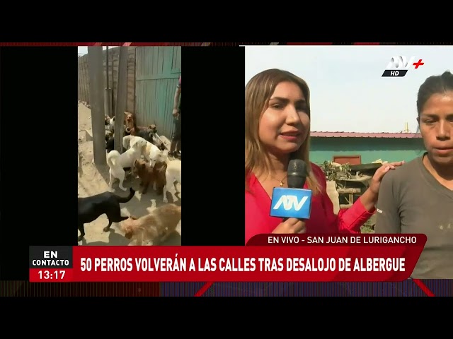 ⁣Rescatista de animales es desalojada de su casa y 50 perritos quedarían en la calle