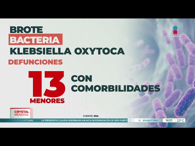 ⁣Se reportan 13 muertes de niños por la nueva bacteria | Noticias con Crystal Mendivil