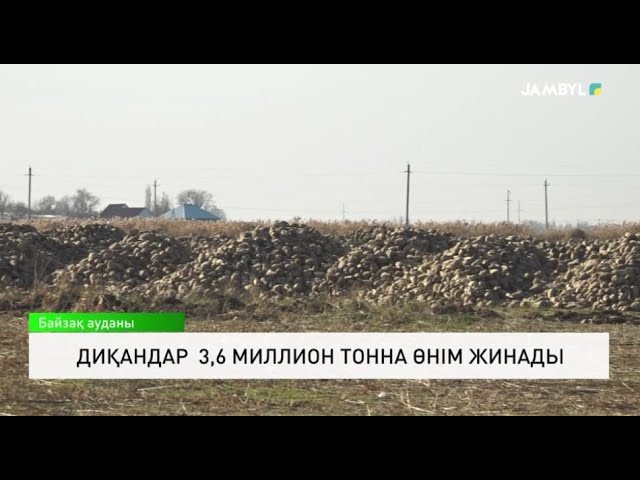 ⁣Диқандар 3,6 миллион тонна өнім жинады