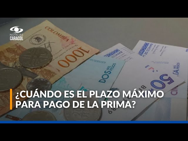 ⁣¿Cómo aprovechar la prima de Navidad? Esto dicen expertos