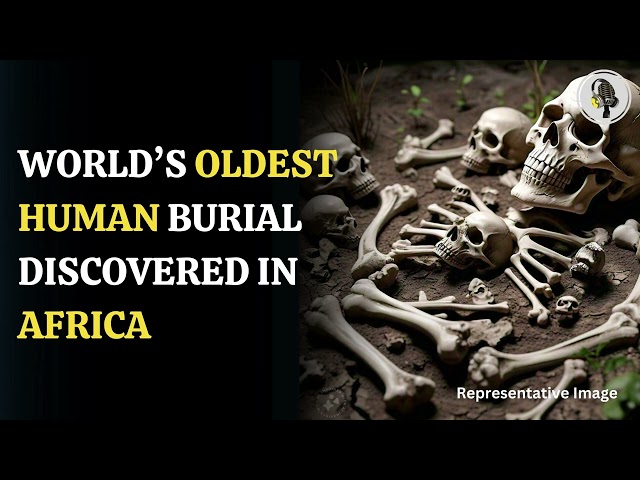 ⁣Humans May Have Evolved in Europe, Not Africa | WION Podcast