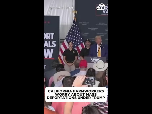 ⁣California farmworkers worry about mass deportations under Trump