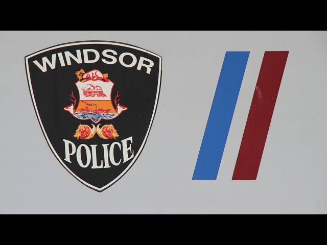 ⁣Two 14-year-olds charged with kidnapping and gunpoint robbery in Windsor, Ont.