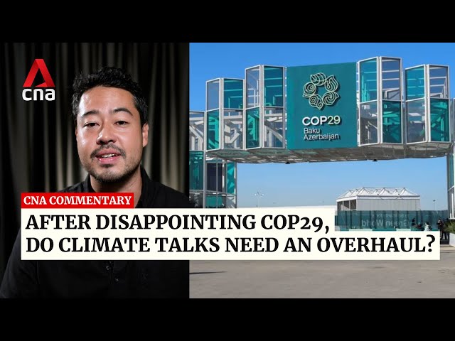 ⁣After disappointing COP29, do climate talks need an overhaul? | Commentary