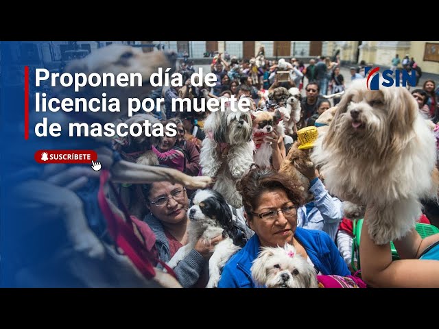 ⁣Pocas lluvias para el viernes | Noticias #SINyMuchoMás: 05/12/2024