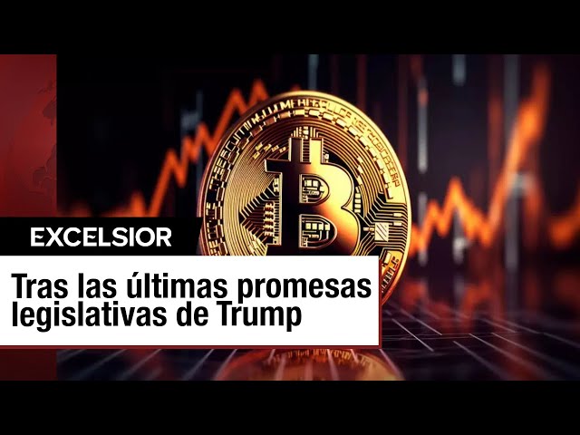 ⁣Bitcoin supera los 100 mil dólares, impulsado por Donald Trump