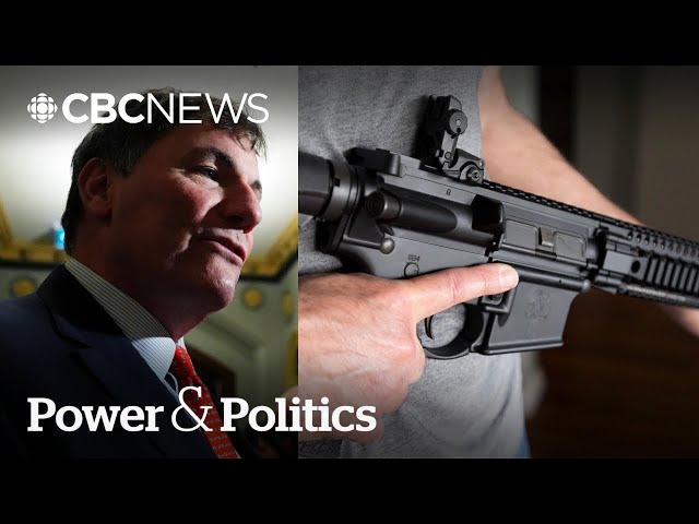 ⁣Canada bans more assault-style firearms | Power & Politics