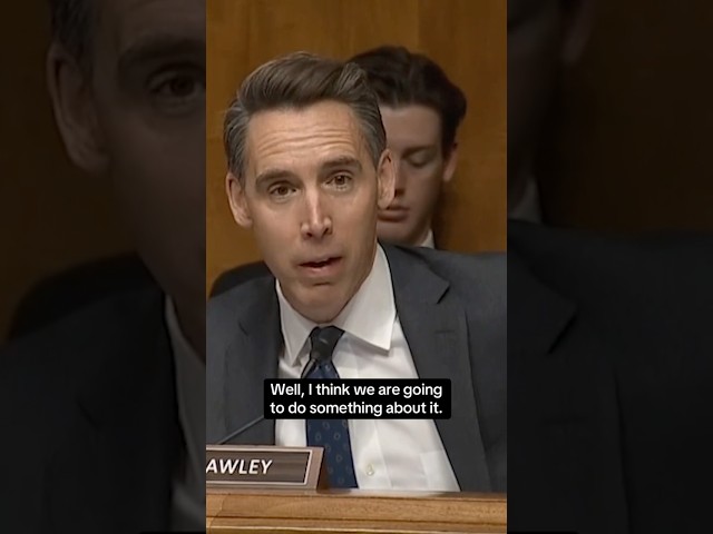 ⁣Sen. Josh Hawley grills airline executives at “junk fees” hearing #shorts