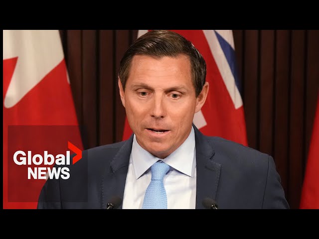 ⁣Former Conservative leadership candidate, testifies about alleged Indian interference in Canada