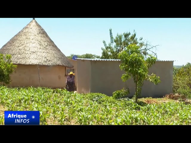 ⁣Le Zimbabwe lance des produits d'assurance pour protéger les agriculteurs contre la sécheresse