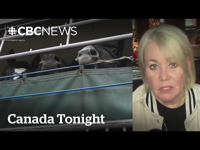 ⁣Jann Arden wants Canada to stop exporting live horses for slaughter | Canada Tonight