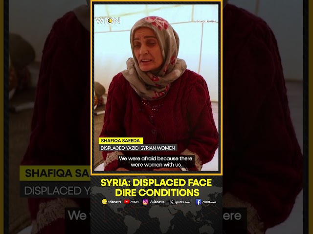 ⁣Syria: Hundreds Of Displaced, Who Fled Aleppo Countryside, Stay On The Streets InTabqa | WION Shorts