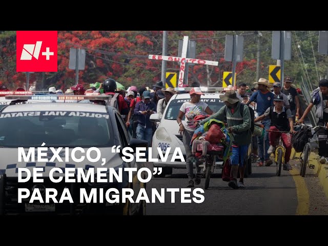 ⁣Migrantes y los peligros que atraviesan en su paso por México - En Punto