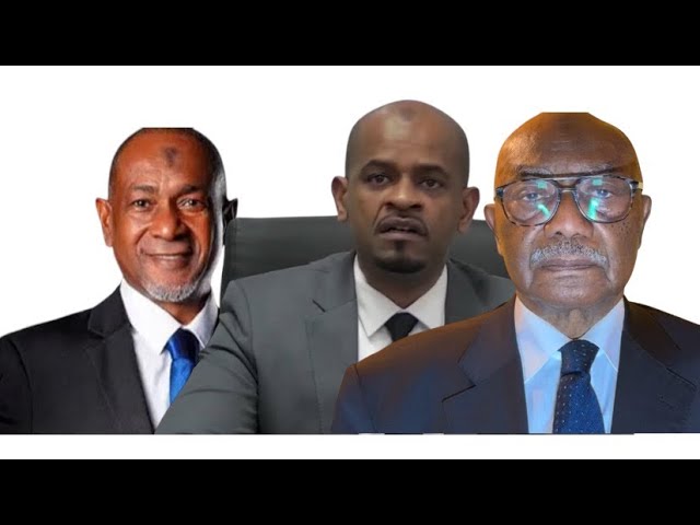 ⁣APPEL D’URGENCE : Ils refusent que le fils d’AZALI Nour El-Fath soit nommé président des Comores 