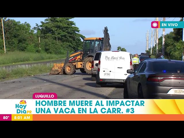 ⁣Accidente cobra la vida de otro joven en Luquillo