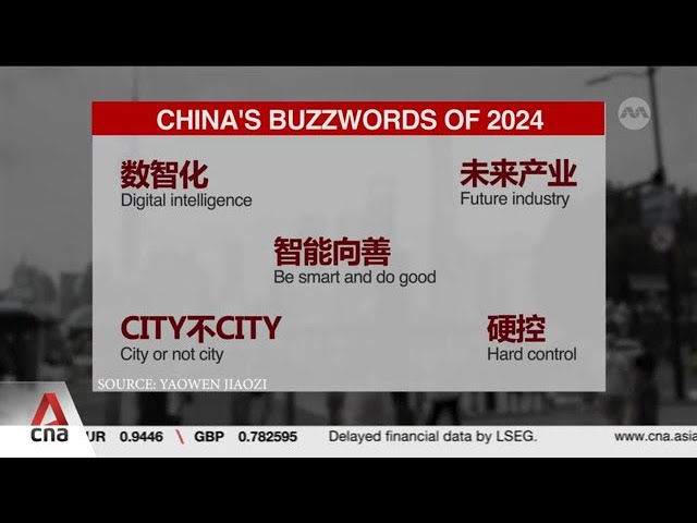 ⁣Online buzzwords: How do popular phrases reflect societal trends and changes in China?