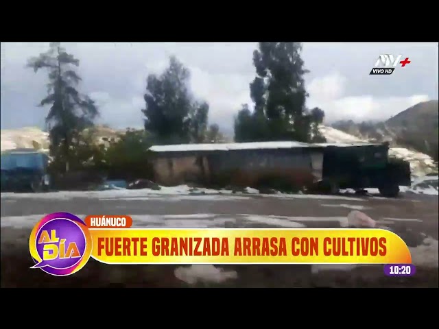 ⁣Huánuco: Fuerte granizada arrasa con cultivos