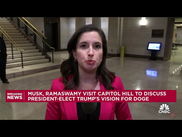 ⁣Musk, Ramaswamy visit Capitol Hill to discuss Trump's vision for DOGE