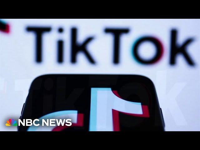 ⁣Federal appeals court upholds TikTok ban