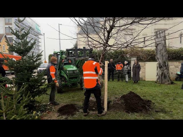 ⁣Chaumont passe au vert avec 72 nouveaux arbres