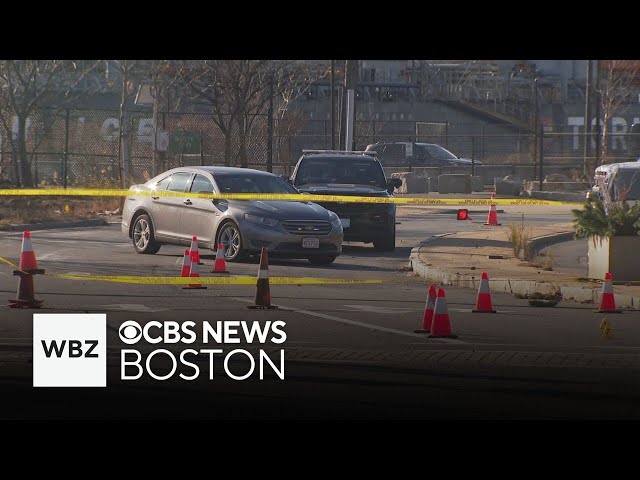 ⁣Woman shot and killed in broad daylight in Chelsea