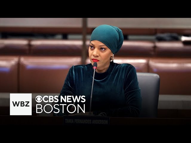 ⁣Boston City Councilor Tania Fernandes Anderson charged in alleged kickback scheme