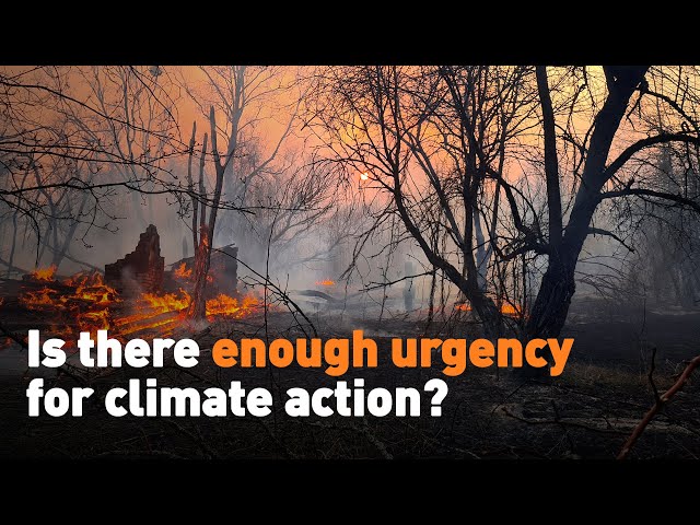 ⁣Is there enough urgency for climate action?