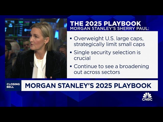 ⁣It's an 'eyes wide open market' with more upside ahead, says Morgan Stanley's Sh