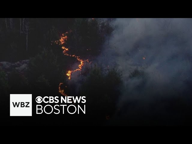 ⁣Cleanup begins at Lynn Woods Reservation after brush fires leave $100,000 in damage