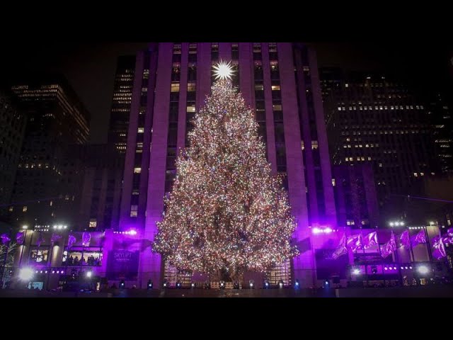 ⁣Weihnachtsbäume weltweit: in Kiew ganz weiß und in New York bunt