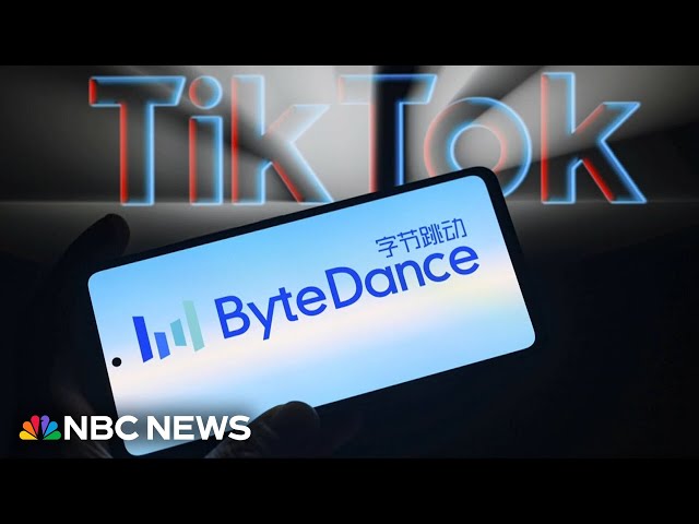 ⁣Federal appeals court upholds law that could ban TikTok in U.S.