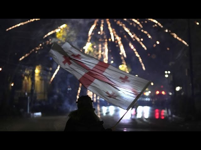 ⁣Georgians vow to continue protests 'until victory' as unrest continues for ninth night