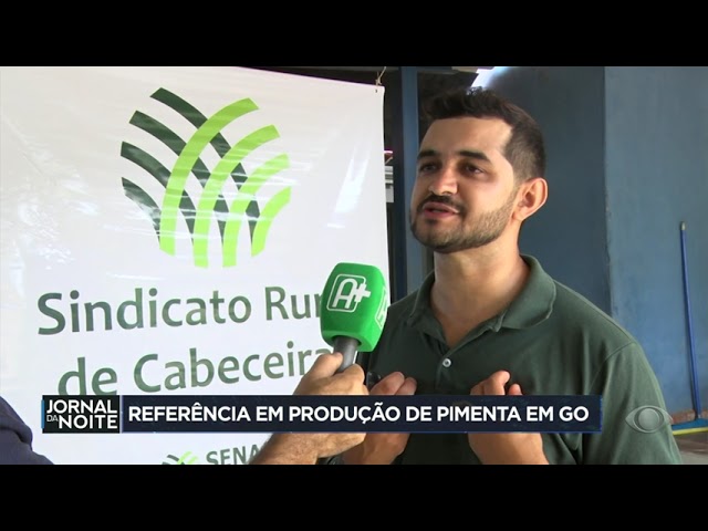 ⁣Pequena propriedade se torna referência na produção de pimenta em Goiás