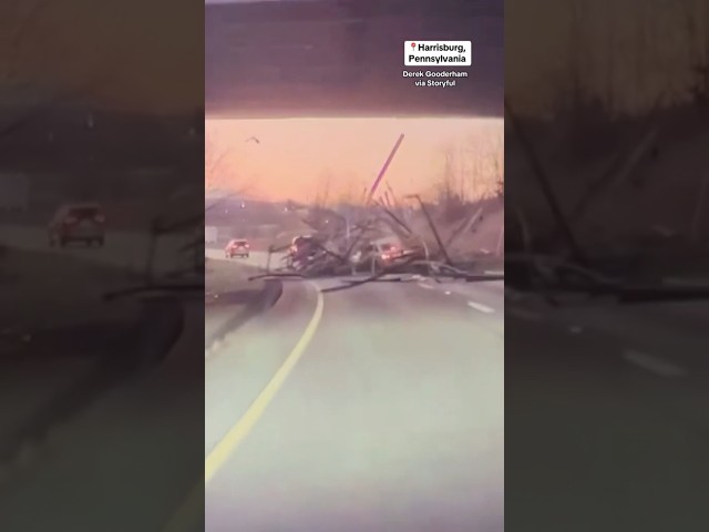 ⁣Lumber falls off truck in Pennsylvania, hitting car below #shorts