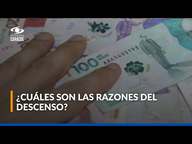 ⁣Cae ánimo de inversión, pero las plataformas toman fuerza: ¿a qué se debe?