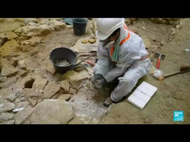 ⁣Notre-Dame de Paris : un chantier archéologique "hors normes" • FRANCE 24