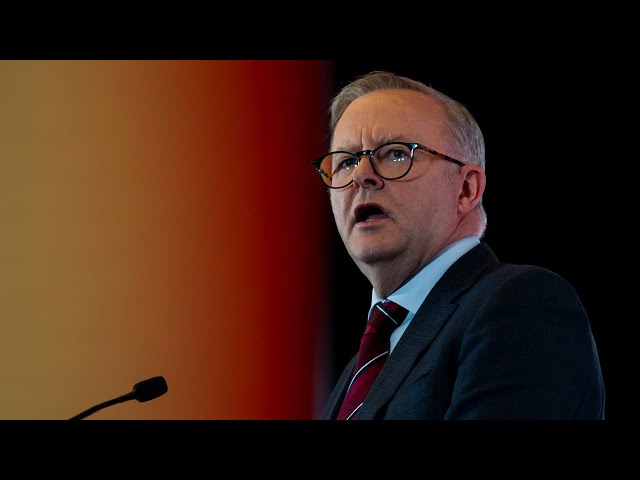 ⁣Anthony Albanese ‘hoping for a minority government’ at the federal election