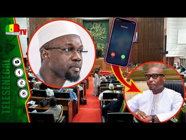 ⁣barth bou..majorité assemblée :O.sonko dafa djoum...coalition takk radio..un internaute clash...