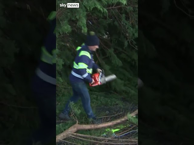 ⁣Fallen trees block roads in Galway