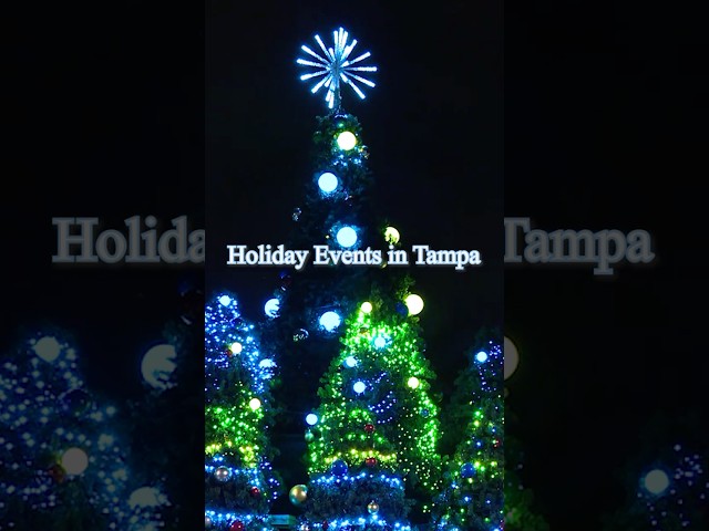 ⁣Holiday events in Tampa