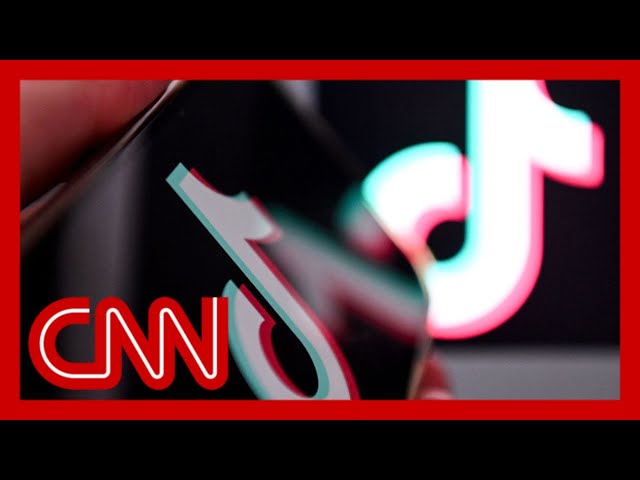 ⁣Can TikTok avoid a U.S. ban? Analysts discuss