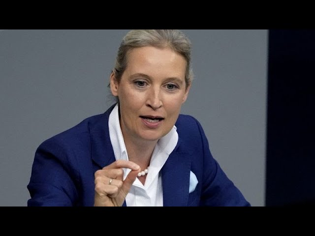 ⁣AfD's first ever chancellor candidate vows to be strict on migration, revive economy